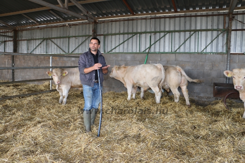 NPK Charolais Farm Kft. törzstenyészeti szemléje