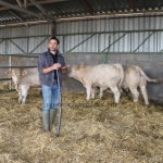 NPK Charolais Farm Kft. törzstenyészeti szemléje