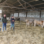 NPK Charolais Farm Kft. törzstenyészeti szemléje