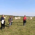 NPK Charolais Farm Kft. törzstenyészeti szemléje