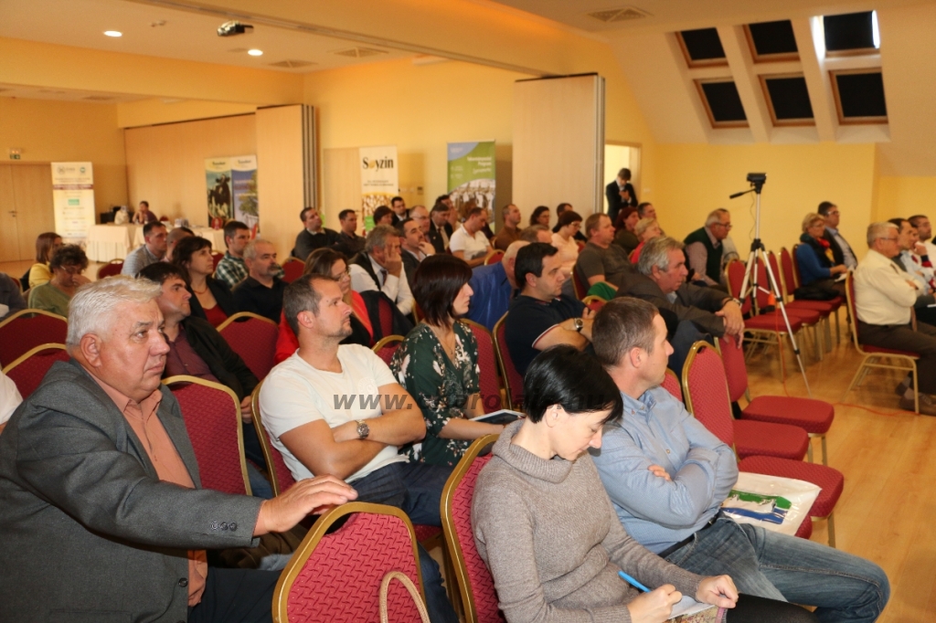 Cserkeszőlő - Konferencia 2017