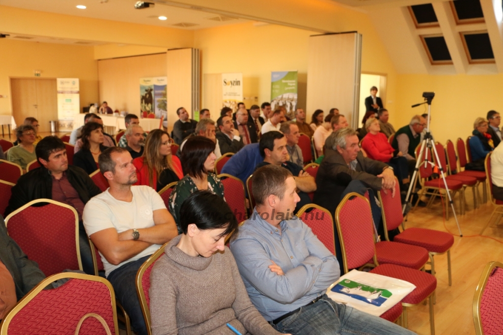 Cserkeszőlő - Konferencia 2017