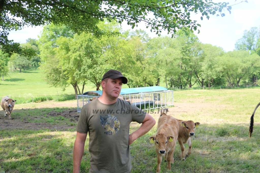 Aubrac nyílt nap Zirc-Kardosréten