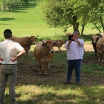 Aubrac nyílt nap Zirc-Kardosréten