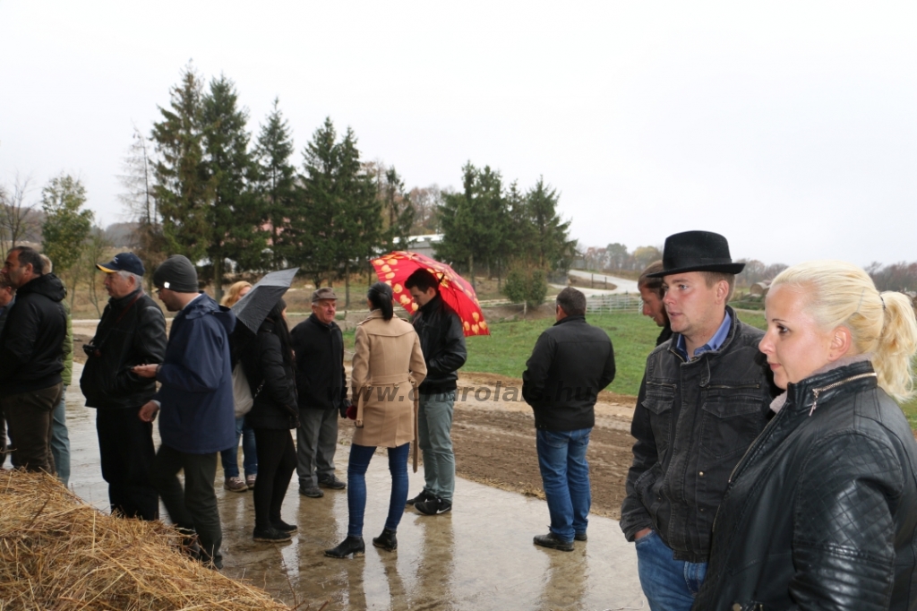 Szakmai nap Pénzesgyőr 2019