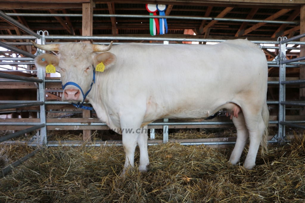 Farmer-expo 2023