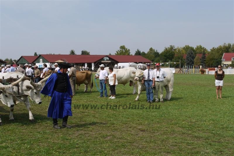 Farmer Expo 2009 - Képekben