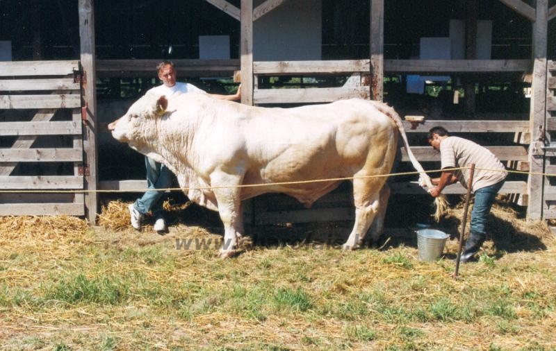 Farmer EXPO 2004