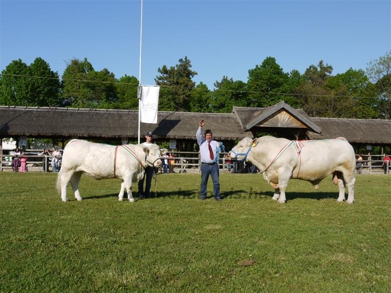 Hódmezõvásárhely 2009