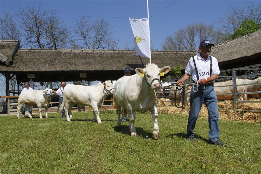 Hódmezővásárhely 2013