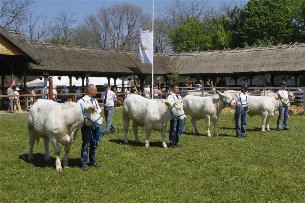 Hódmezővásárhely 2013