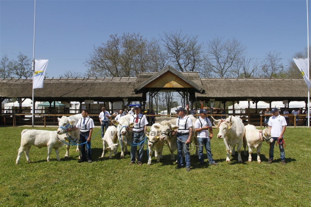 Hódmezővásárhely 2013