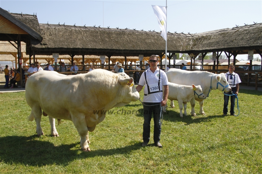 Hódmezővásárhely 2013