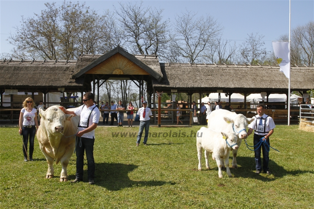 Hódmezővásárhely 2013