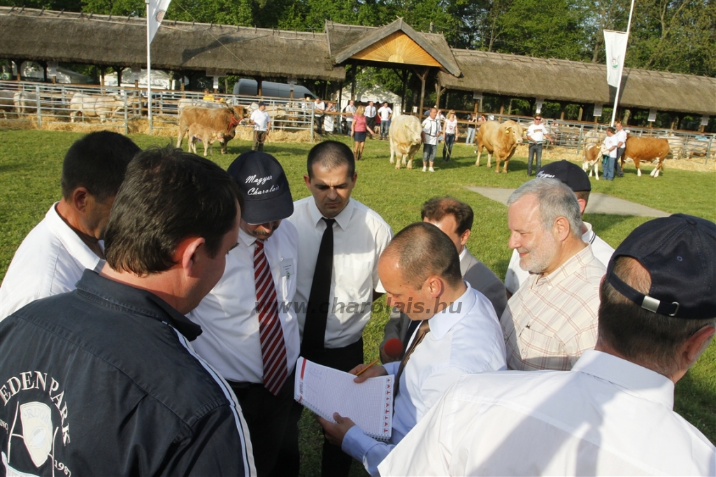 Hódmezővásárhely 2013