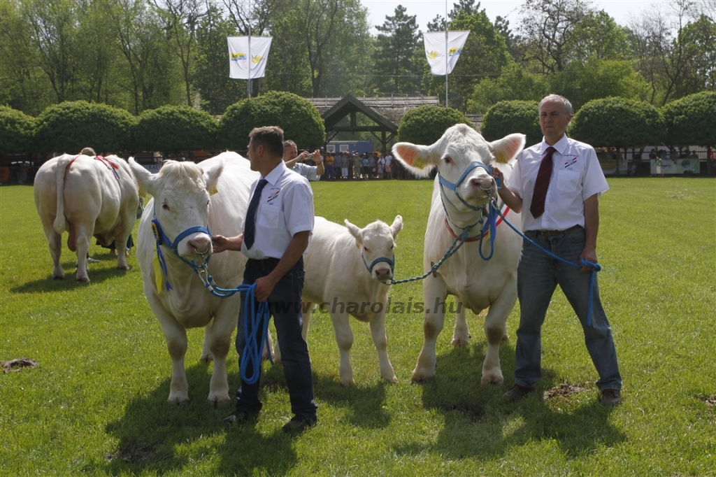 Hódmezővásárhely 2013