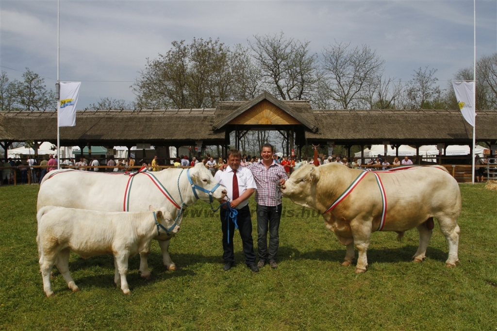 Hódmezővásárhely 2013