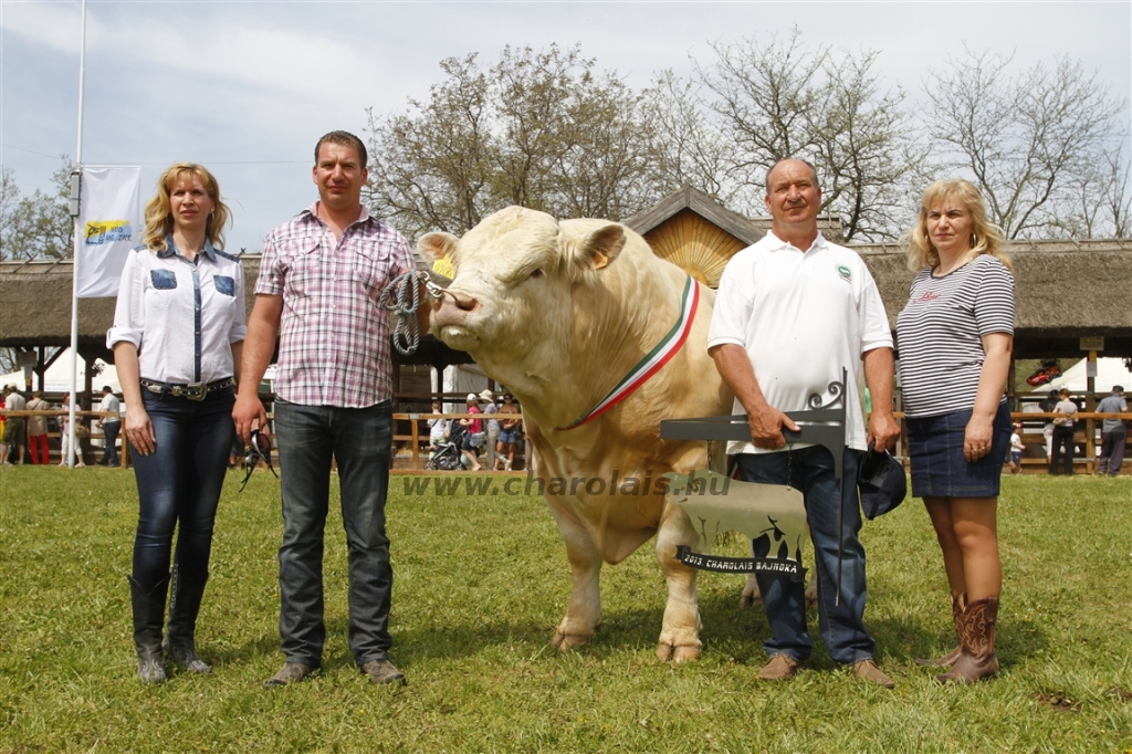 Hódmezővásárhely 2013