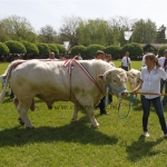 Hódmezővásárhely 2013