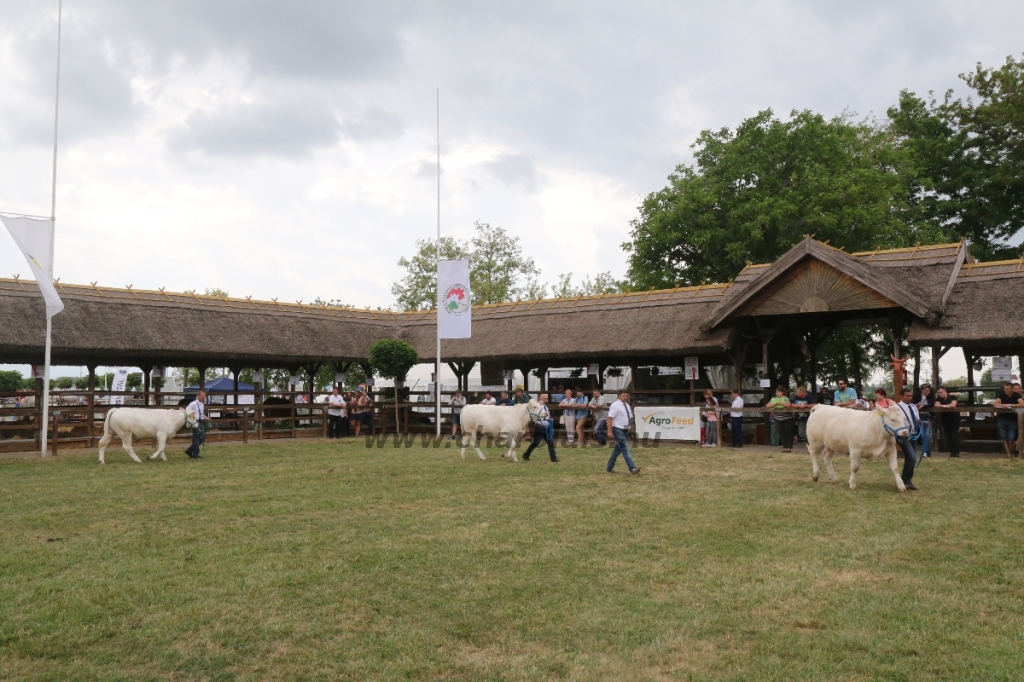 Hódmezővásárhely 2018