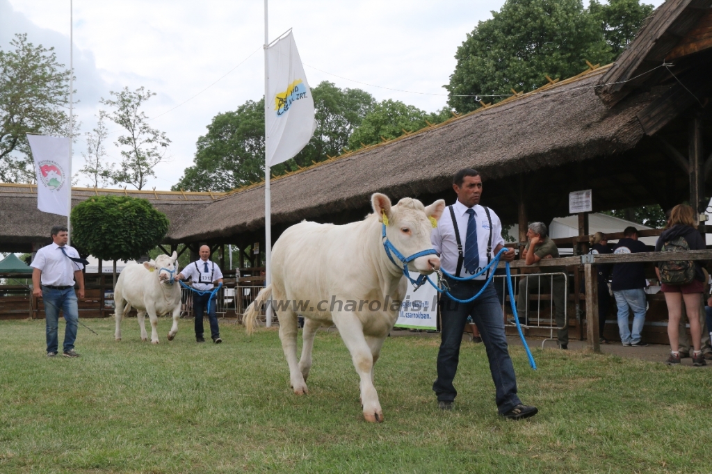 Hódmezővásárhely 2018