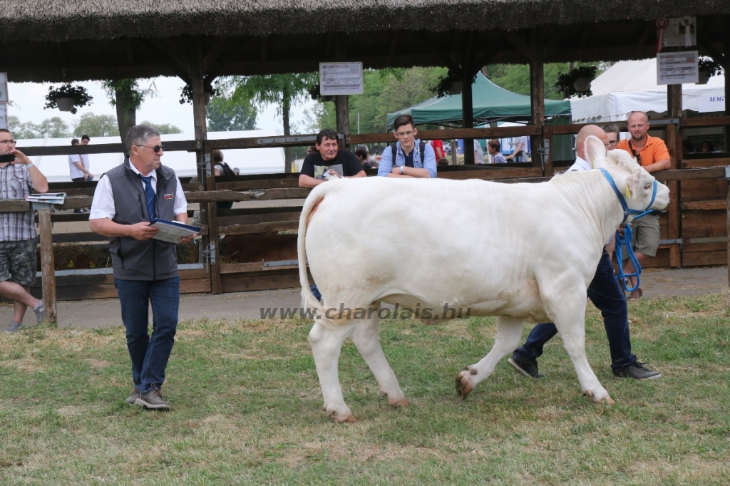 Hódmezővásárhely 2018