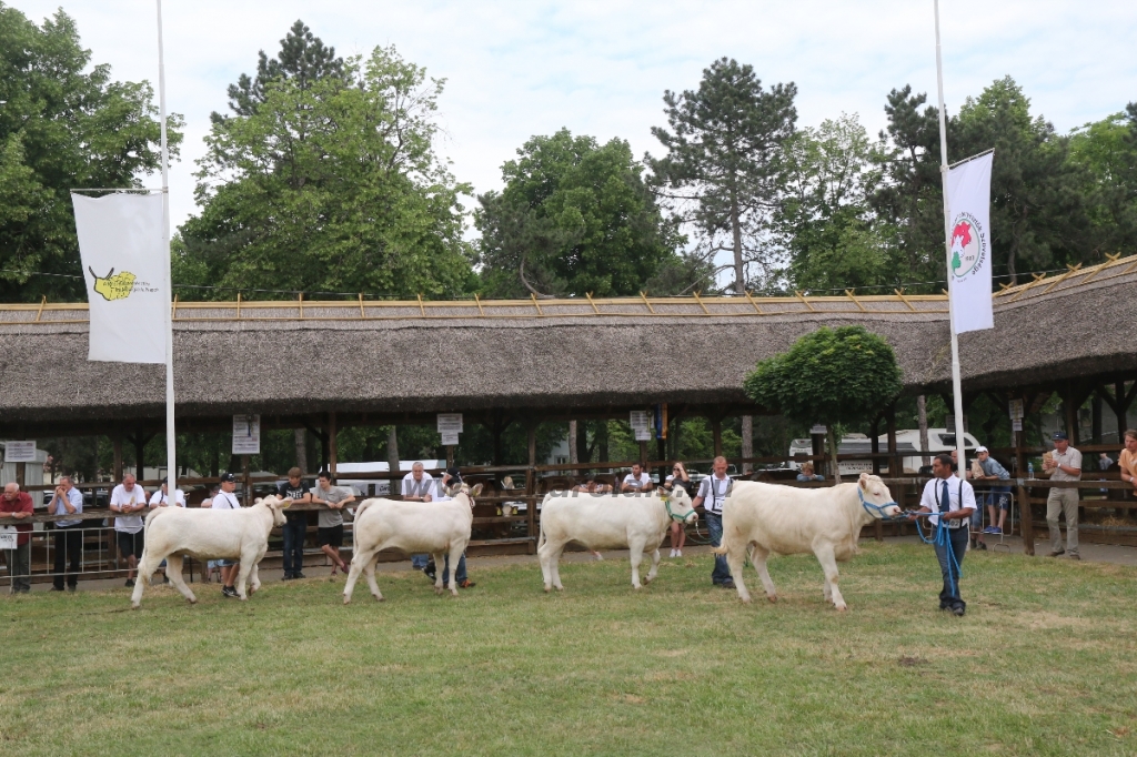 Hódmezővásárhely 2018