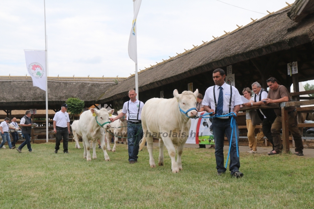 Hódmezővásárhely 2018