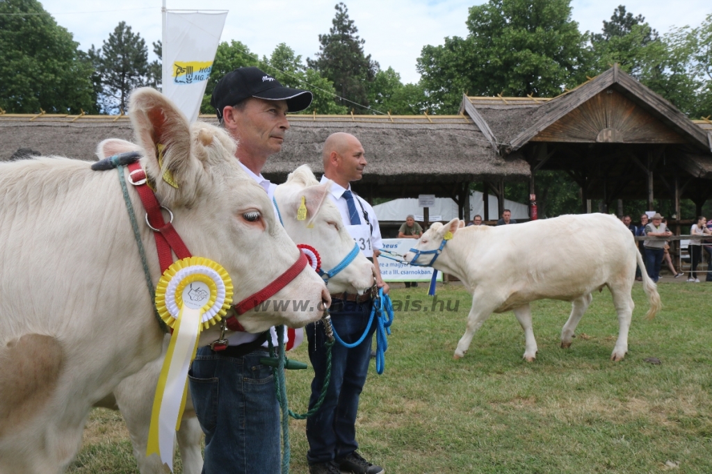 Hódmezővásárhely 2018