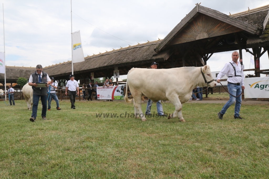 Hódmezővásárhely 2018