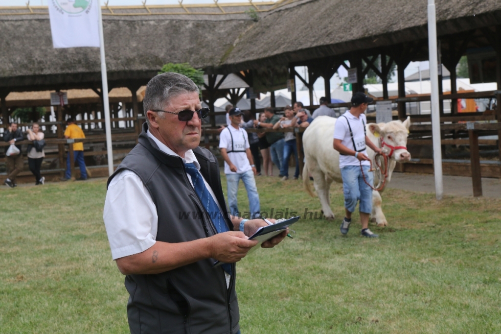 Hódmezővásárhely 2018