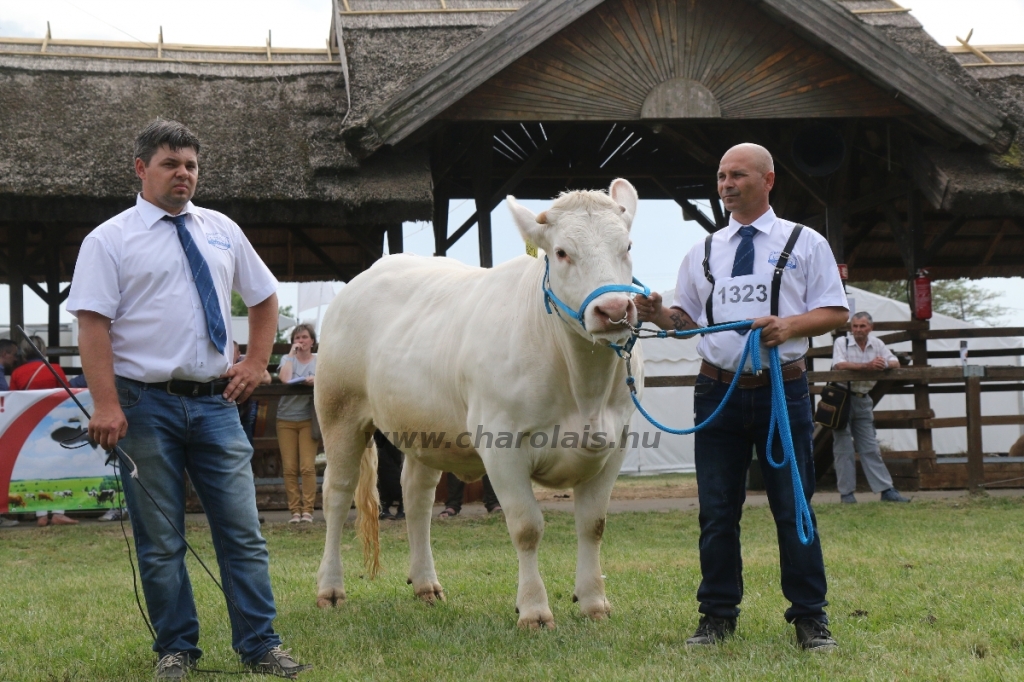 Hódmezővásárhely 2018