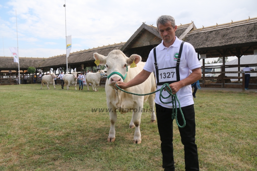 Hódmezővásárhely 2018