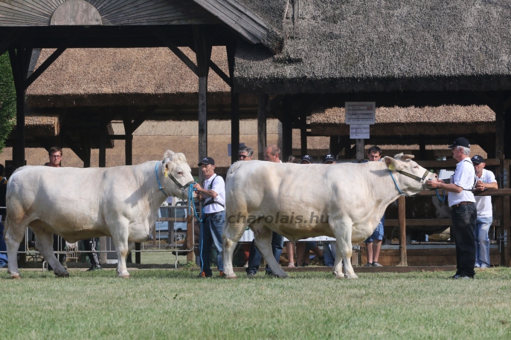 Hódmezővásárhely 2018