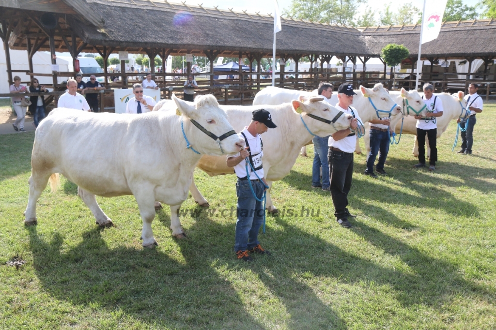 Hódmezővásárhely 2018