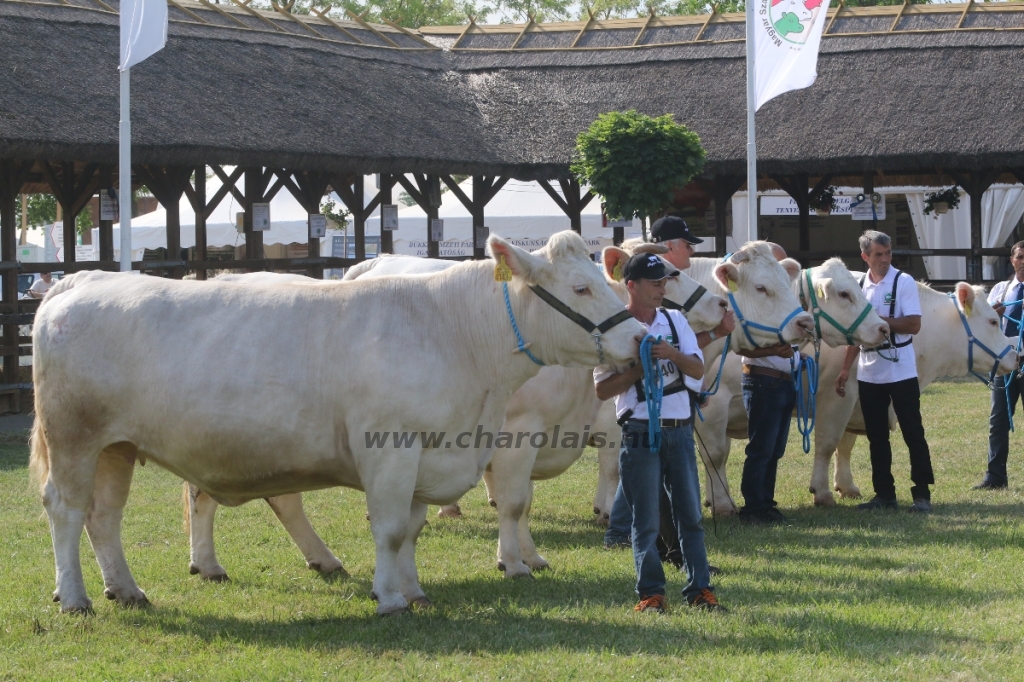 Hódmezővásárhely 2018