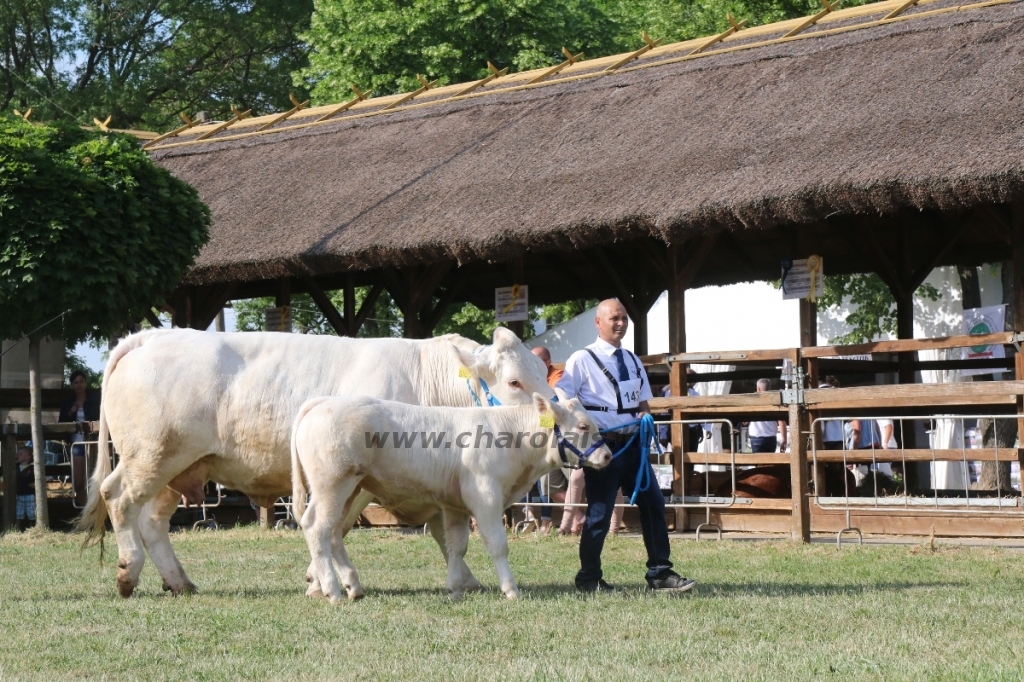 Hódmezővásárhely 2018