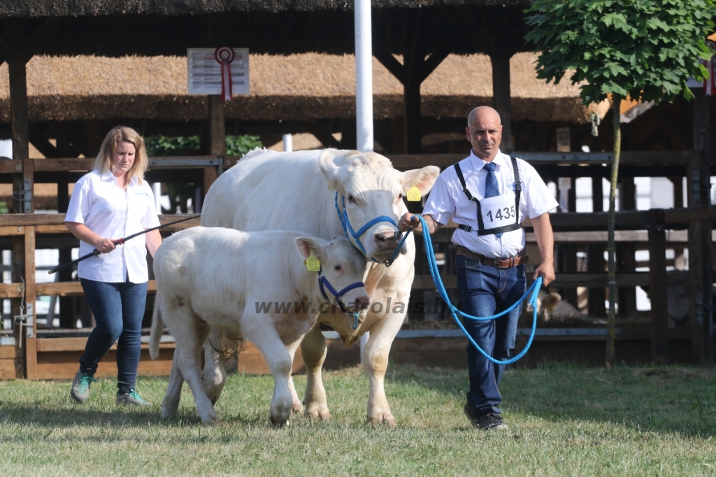 Hódmezővásárhely 2018