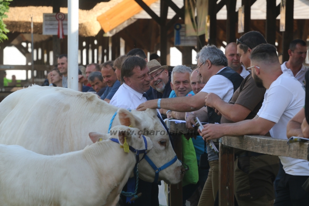 Hódmezővásárhely 2018