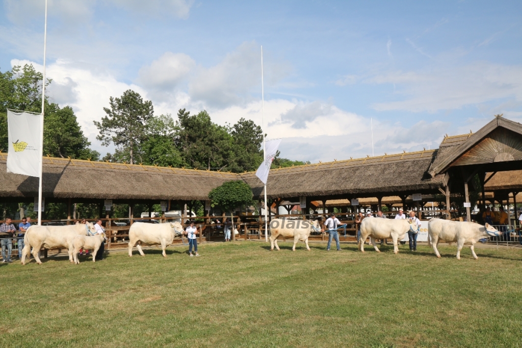 Hódmezővásárhely 2018