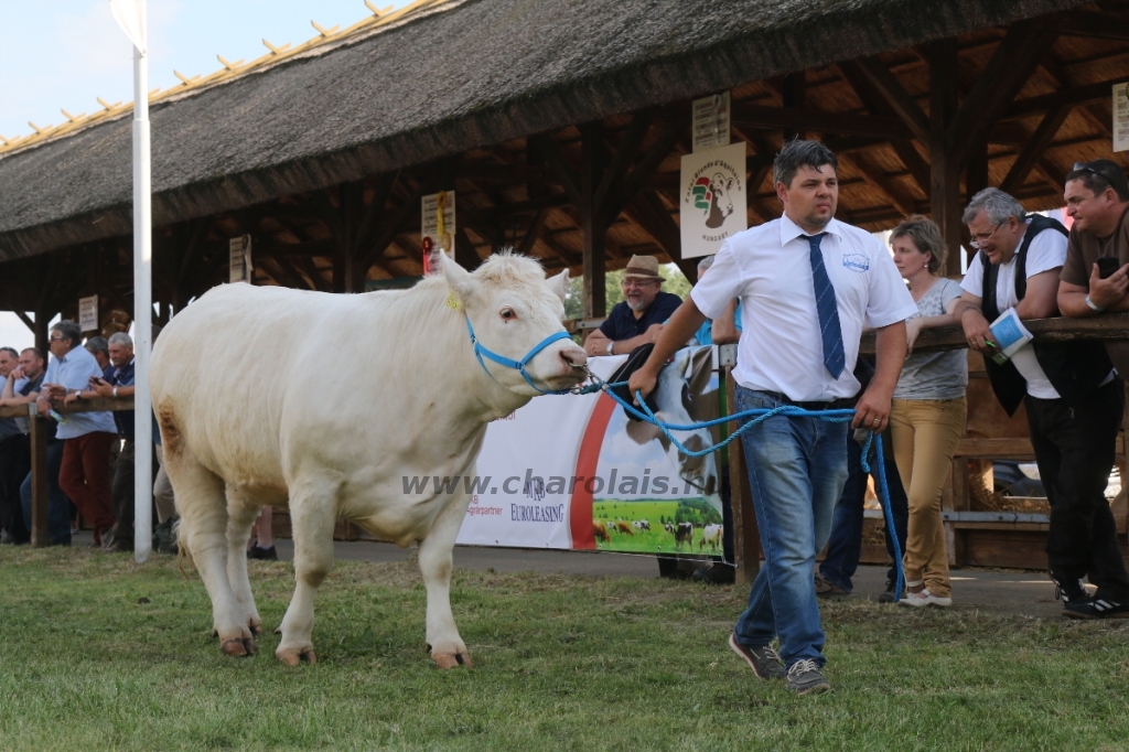 Hódmezővásárhely 2018