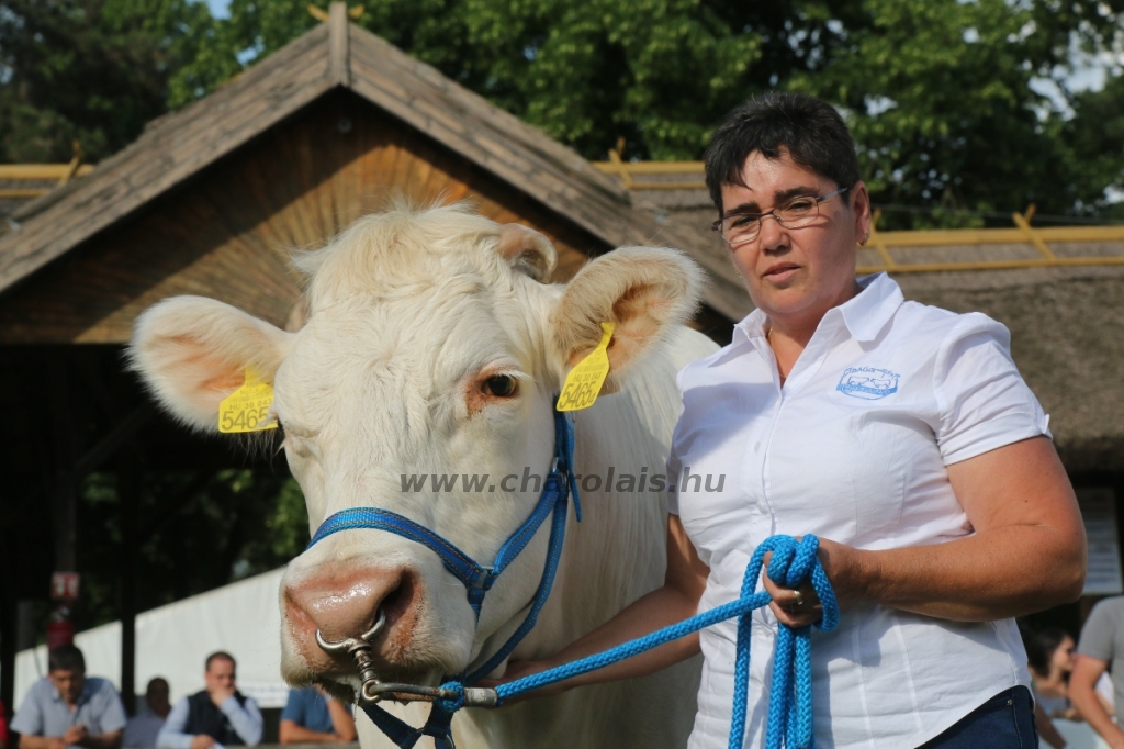 Hódmezővásárhely 2018