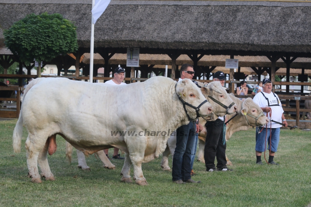 Hódmezővásárhely 2018