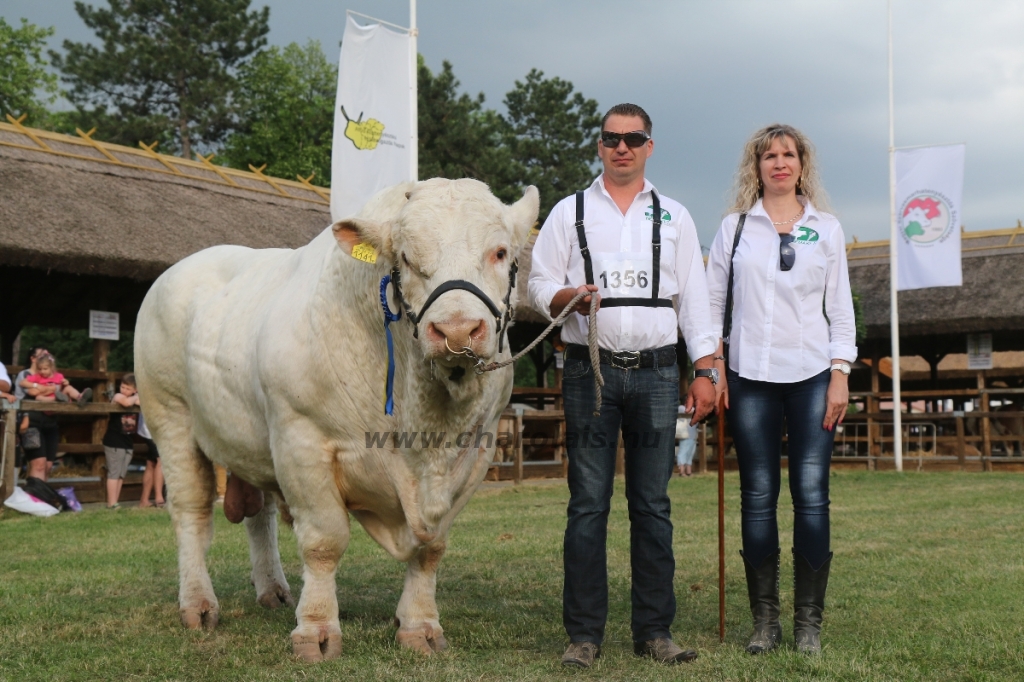 Hódmezővásárhely 2018