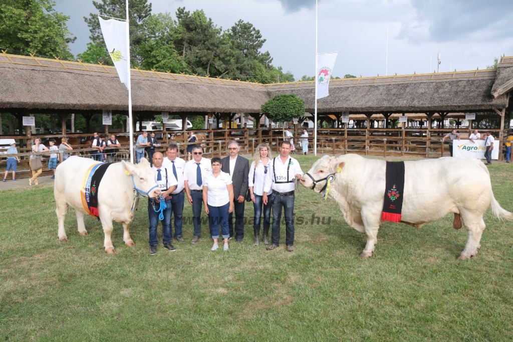 Hódmezővásárhely 2018