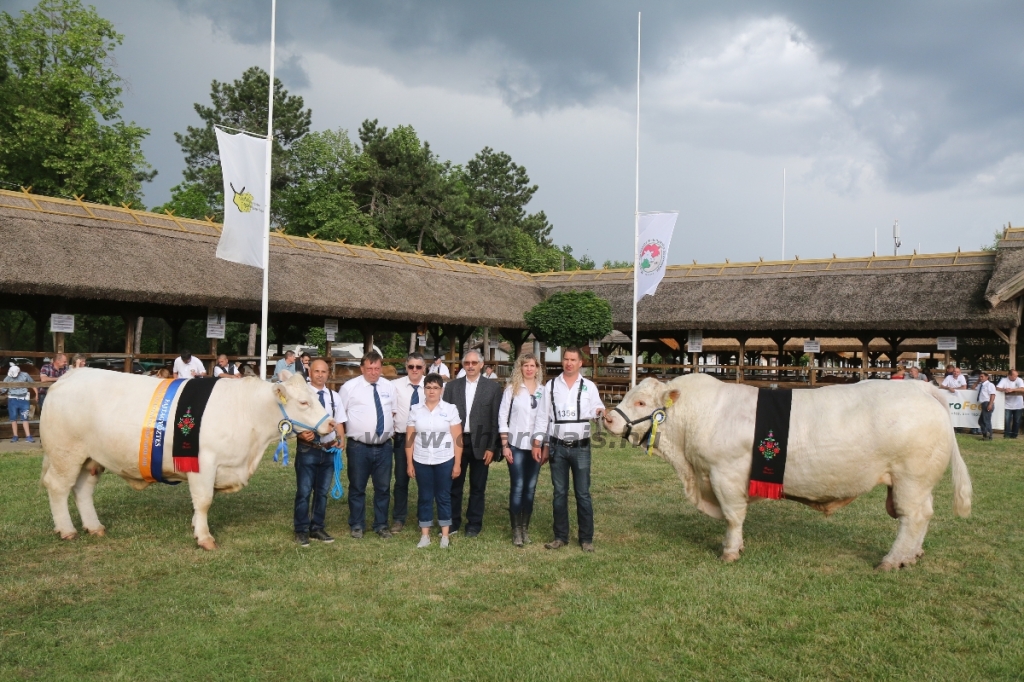 Hódmezővásárhely 2018