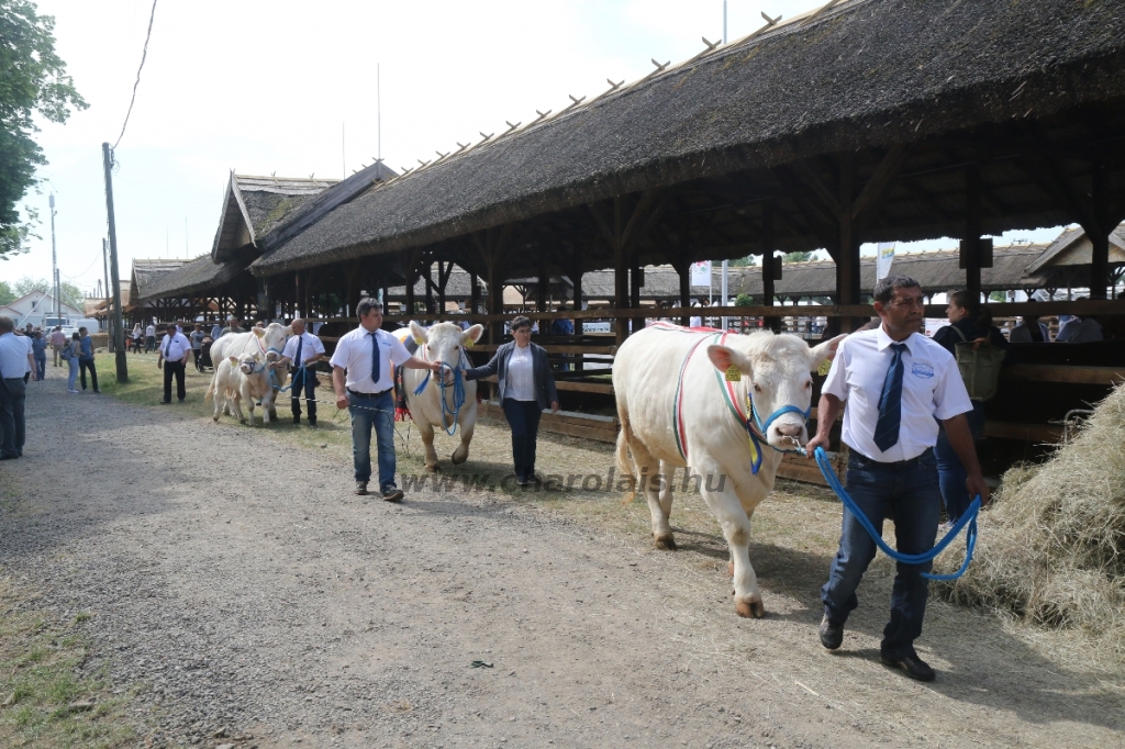 Hódmezővásárhely 2018