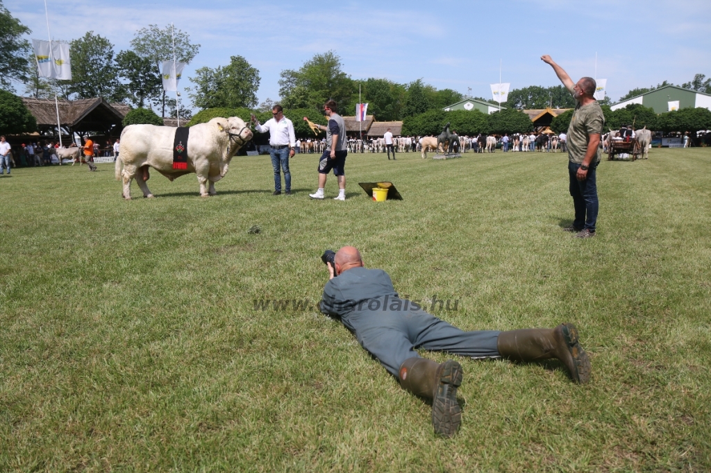 Hódmezővásárhely 2018