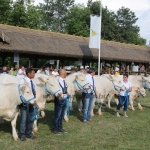 Hódmezővásárhely 2018