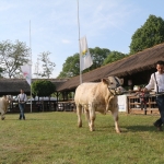 Hódmezővásárhely 2018